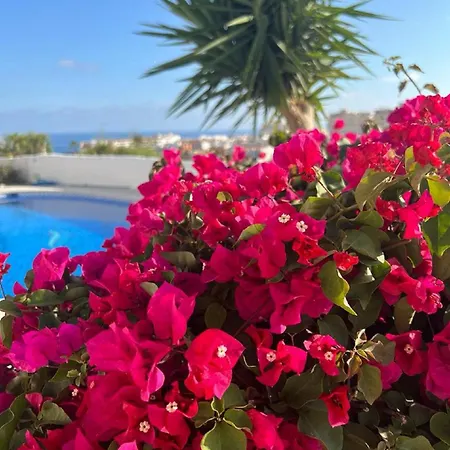 Ap393 - Almendros * Nerja